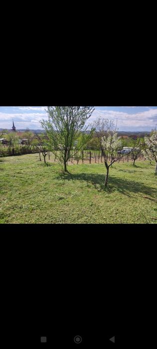 Teren 5 km distanta de Motru  2200 m2