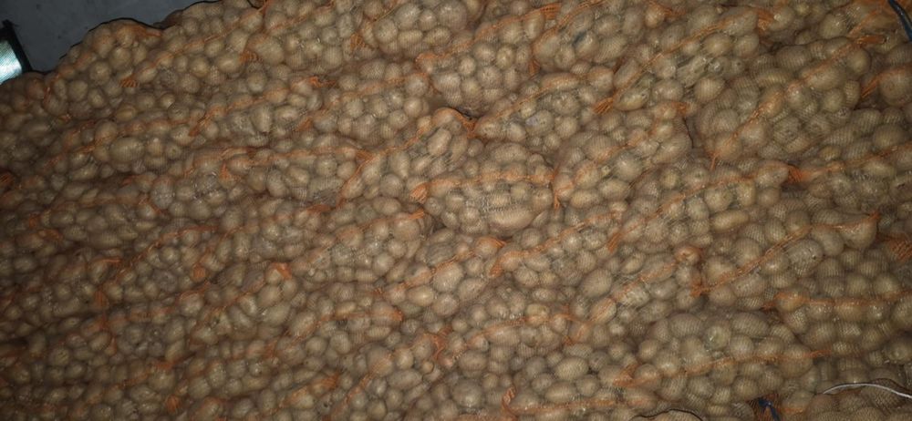 Cartof consum Carrera