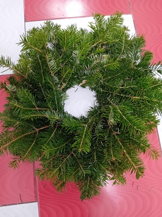 Vand coronițe din brad și balot .