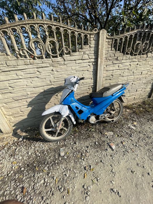 Scuter longhin schimb mai multe detalii în privat