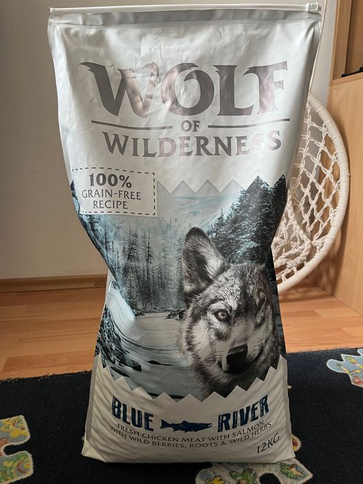 wolf of wilderness