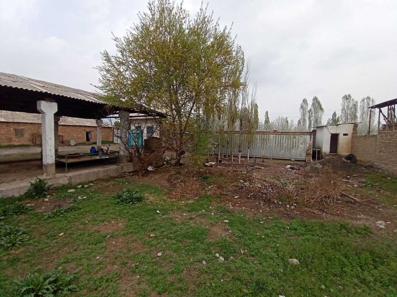 Chust tumanida Sut tovar fermasi bino-inshootlari sotiladi