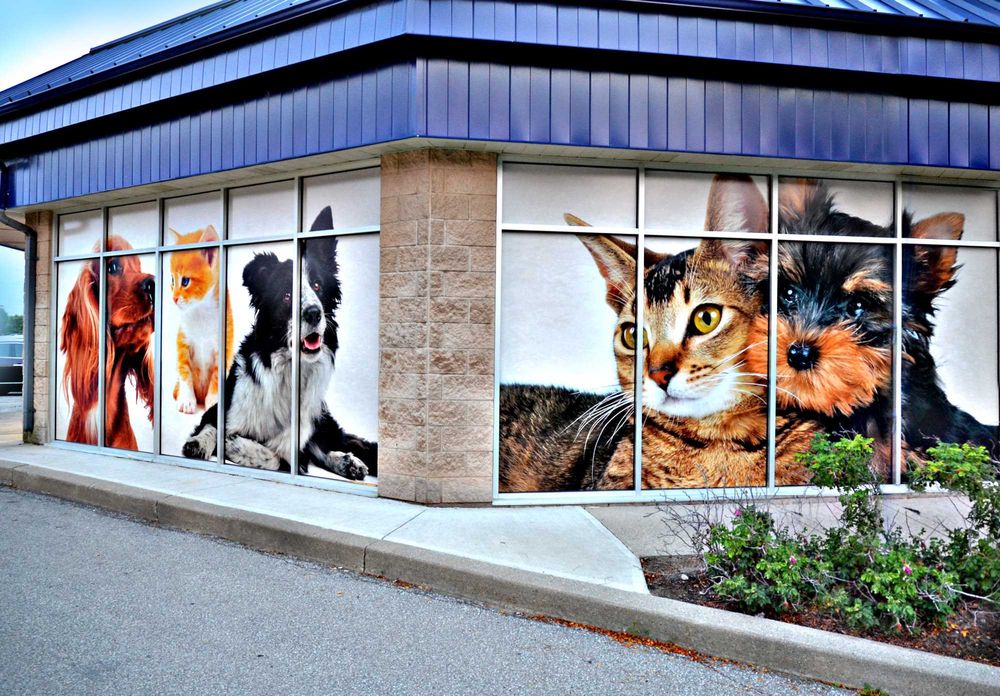 Autocolant tip perforat (window graphics) pentru colantare magazine