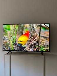 телевизор TCL 75  120Hz  4K UHD HDR10+ SMART+ прошивка+ доставка