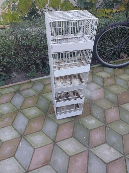 De vanzare colivie supra etajata pentru canari