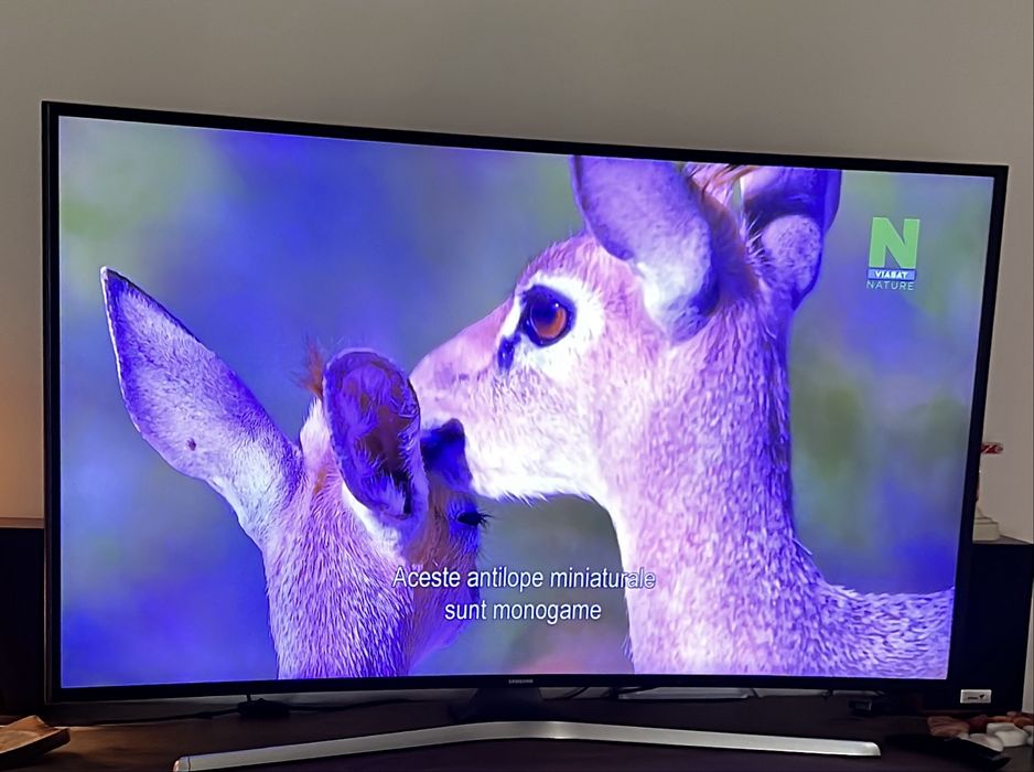 TV Smart Samsung 49″ Curved 4K -124 cm