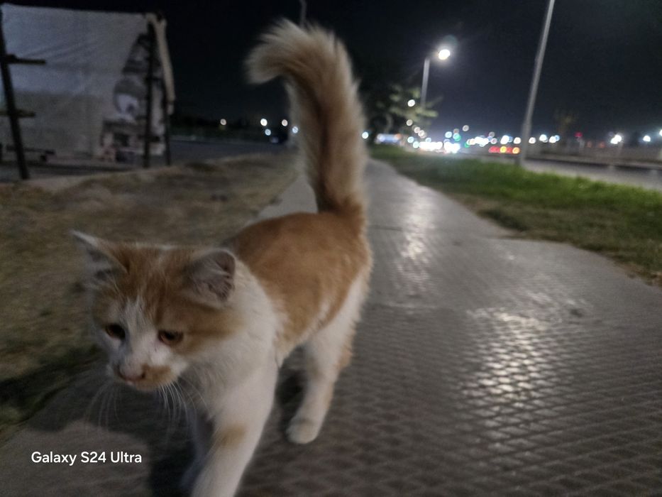 Mushukcha 5 oylik pul zarur