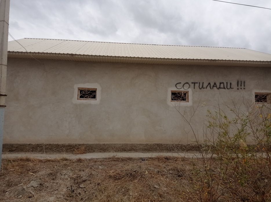 Дача маданият дачалари