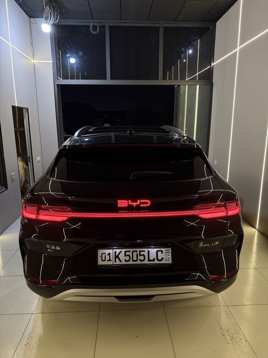 BYD Champion 2024 Restailing