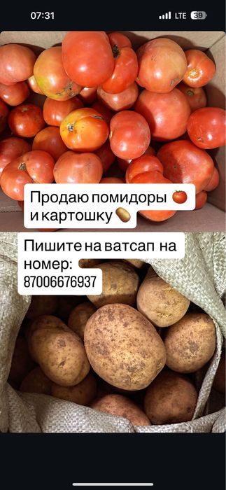 Продам картошку хорошую