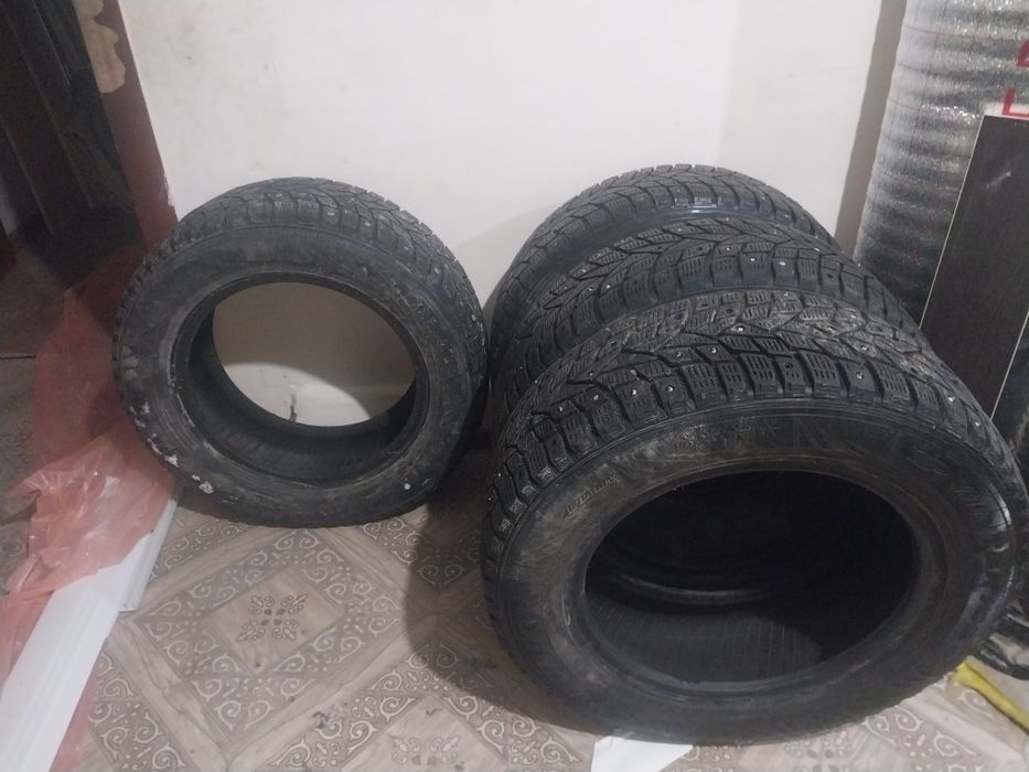 Зимные шины дунлоп