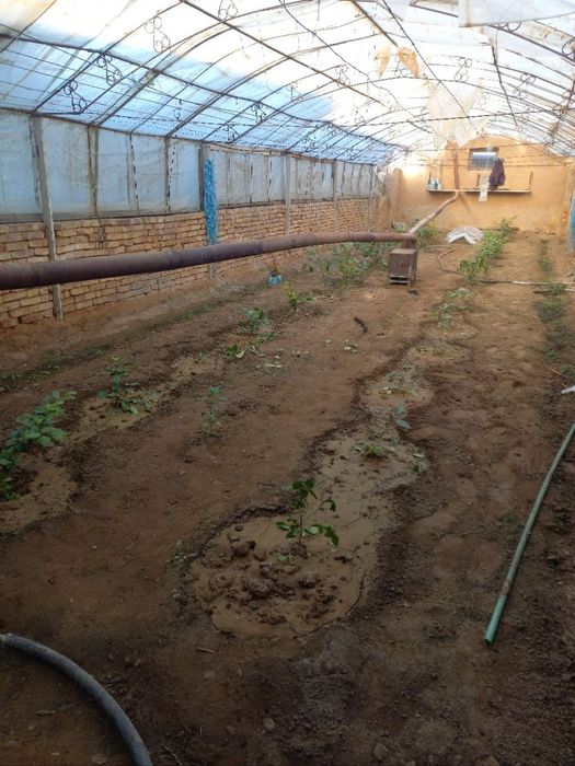 Срочно продается дача Мираж-2