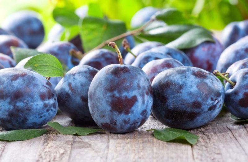 Prune pentru țuică