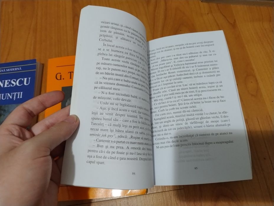 Colecție de 3 cărți esențiale pentru studiul literaturii române