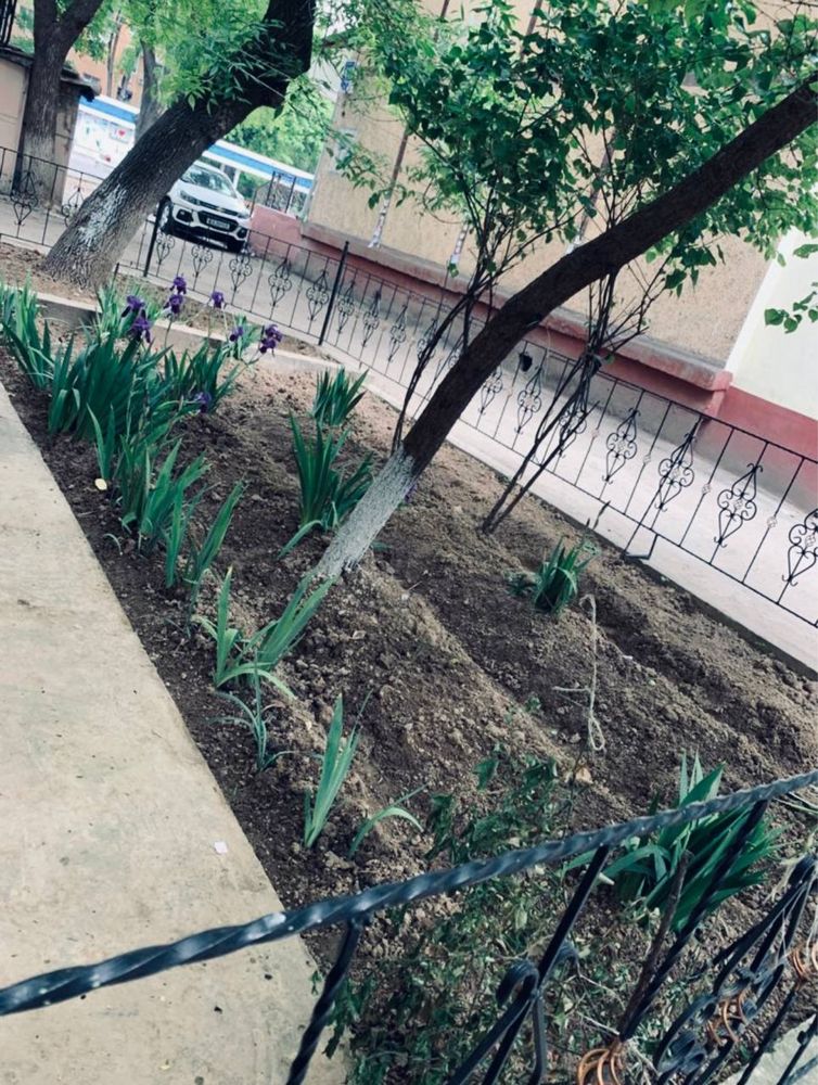 Uy sotiladi Chilonzor 9kv uy o’zimiki 1-etaj, 2/3 xona qilingan