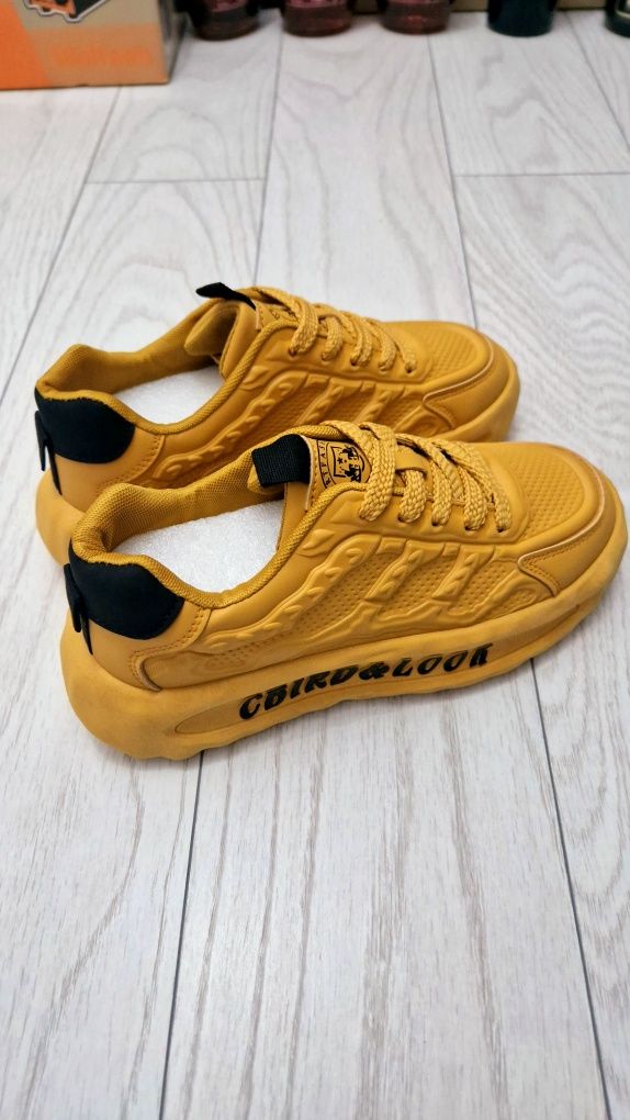 Cbird & Look / Premium Quality / Anatomic