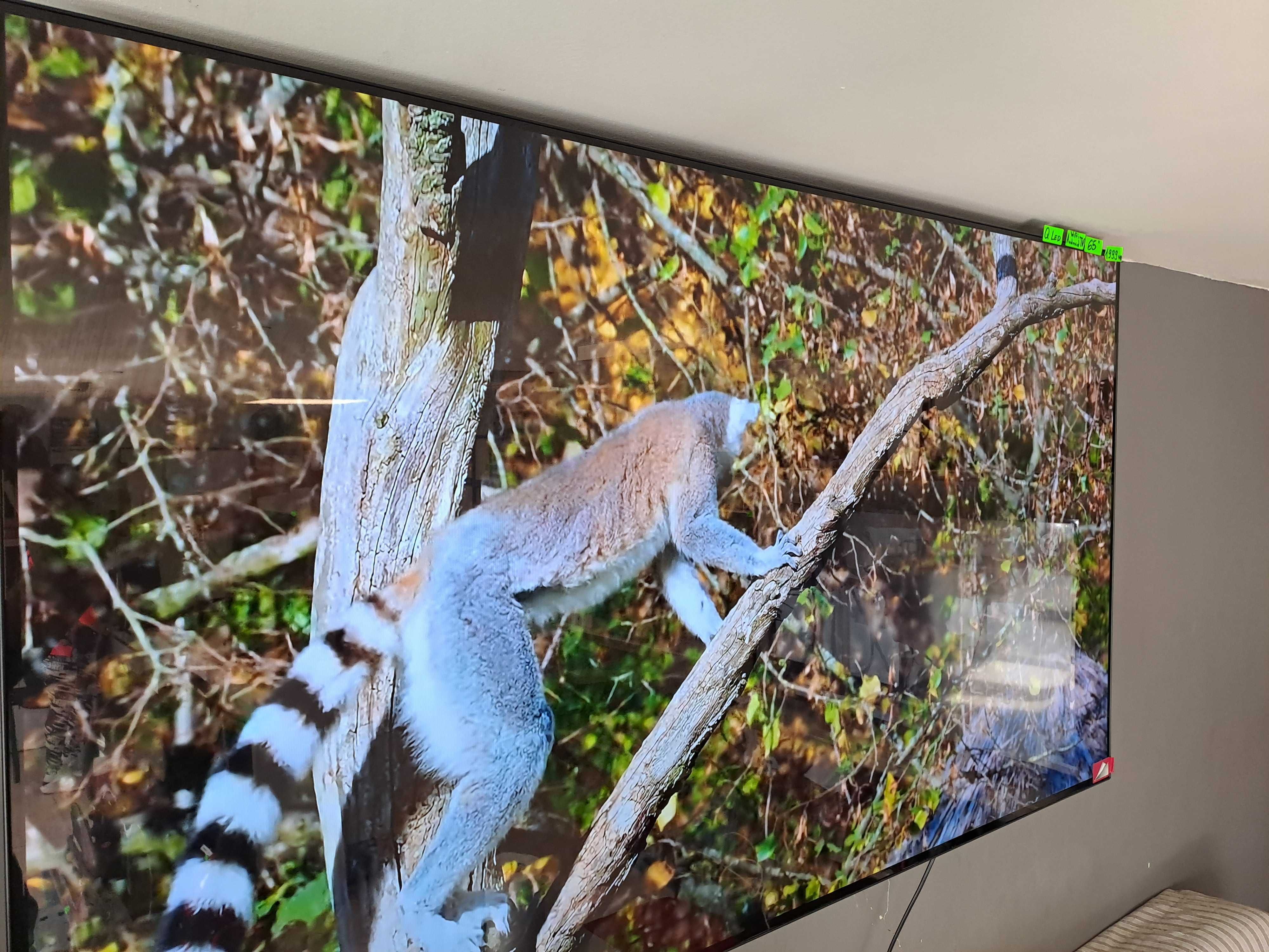 OLED TV LG 65b19la