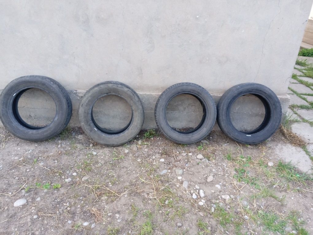 Шины Turanza 205/55 R16