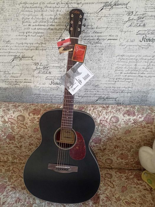 Новая гитара Aria