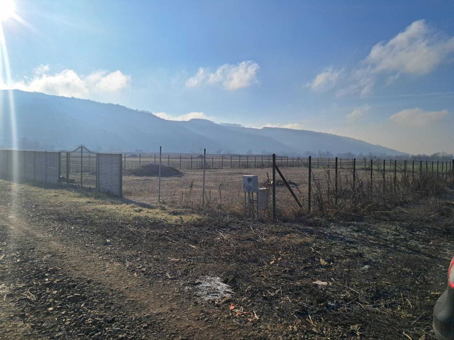 Vand teren in localitatea Livada,CJ, cu proiect casa!