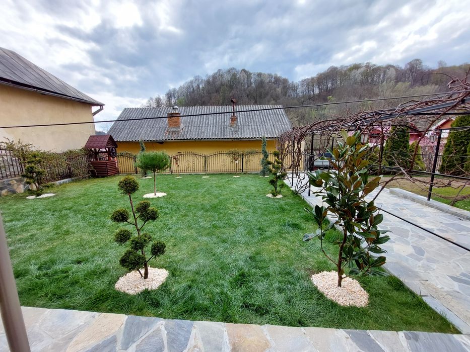 Amenajări grădini gazon și plante ornamentale