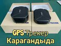 GPS трекер для отслеживания лошадей Трекер GSM, Жезказган