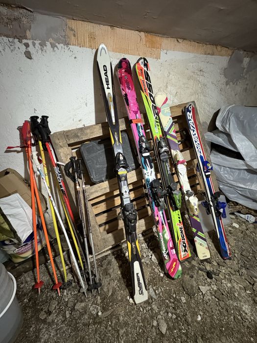 Schiuri adulti si copii