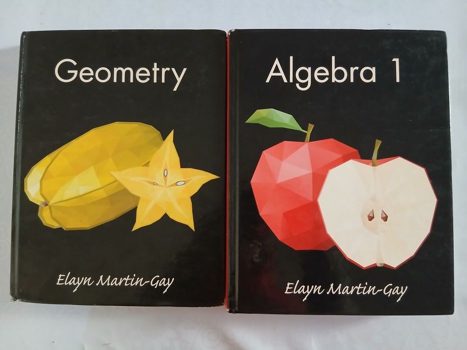 Geometry and Algebra 1 by Elayn Martyn-Gay