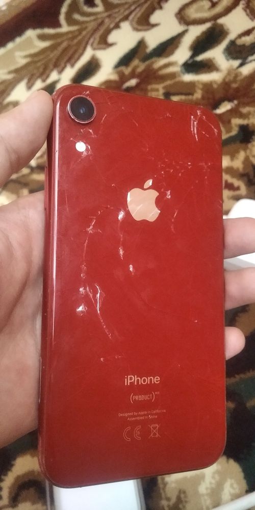 Iphone xr  qizil