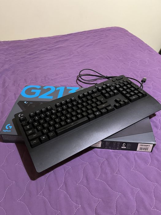 Logitech Prodigy G213, RGB