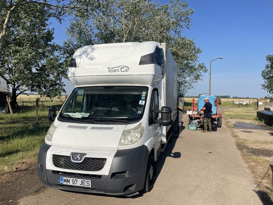 Vindem puiet crap, amur, cteno, novac, fitofag, cosas, singer, somn