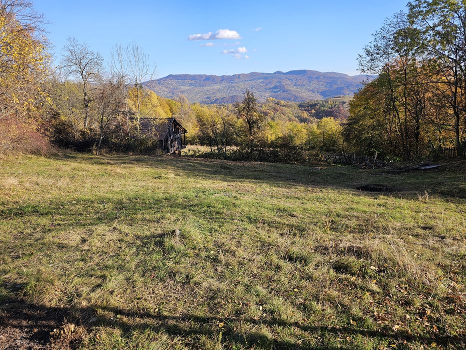 Vând loturi intravilane!