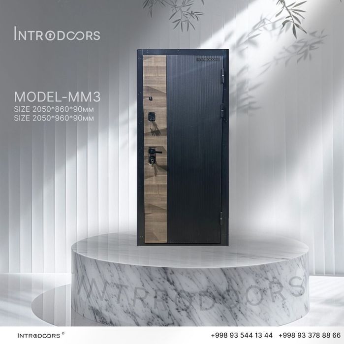 Входные двери. Kirish eshiklar.