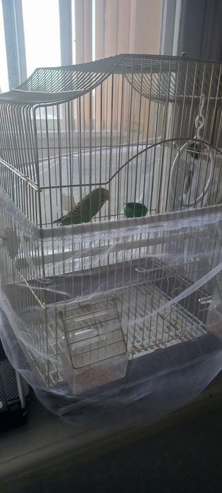 Попугай с клеткой