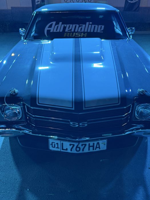 Трезвый водитель. Город ташкент. 24/7