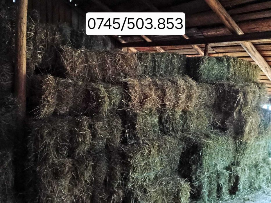 Vand baloti lucerna + fan de gradina