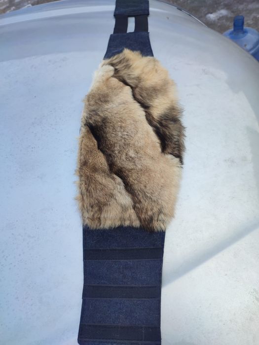 Собачий пояс / Лечебный пояс для спины