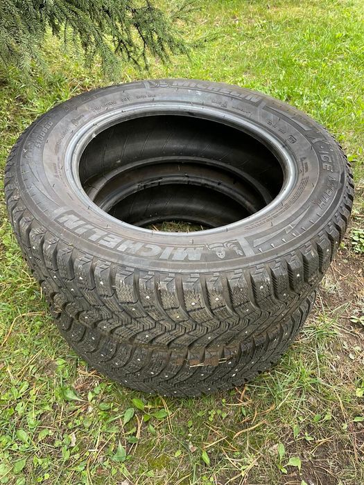 Ризина зимняя, в количесте 1 шт,подойдет на запаску