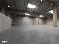 Bd. Th. Pallady - hale 800mp si 3400mp - ISU - comision 0