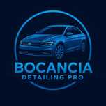 Detaling auto profesional