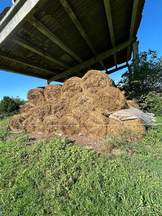 Baloti lucerna si otava 120/120