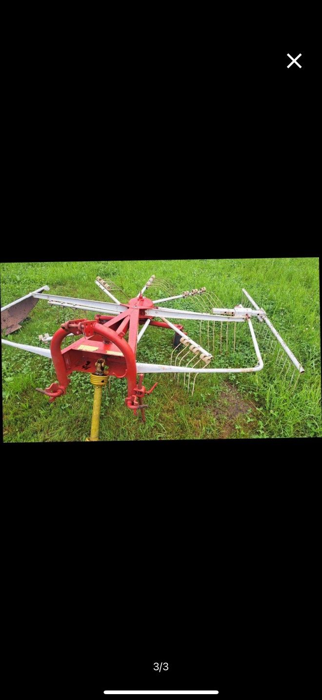 Grebla Fan Paianjen Adunat, Risipit  , Kuhn  ,Deutz