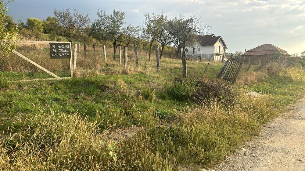 Tern intravilan ,ideal cabana situat in Lugasu de Jos