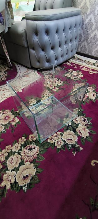 Аквариум akvarium