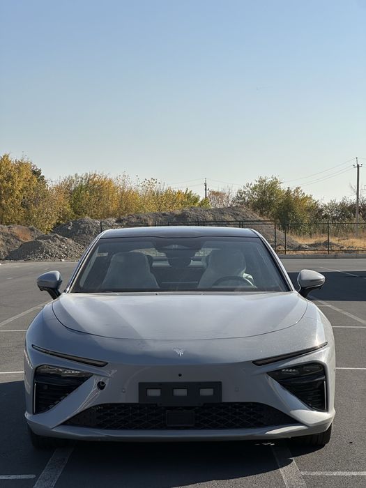 Neta S 2024 Narda grey Electro