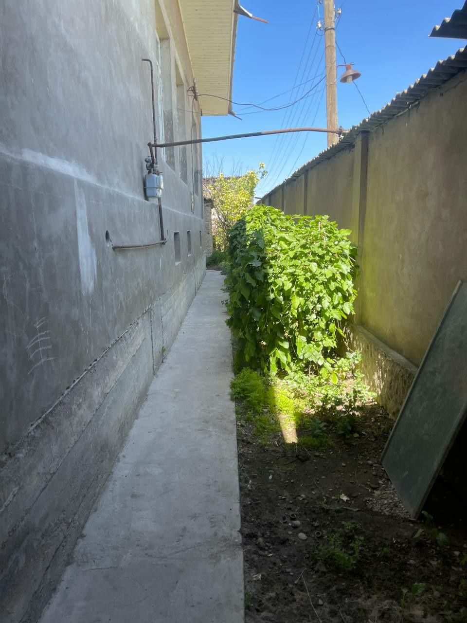 Dala. Xovli. Uy. Teplisa. Issiqxona