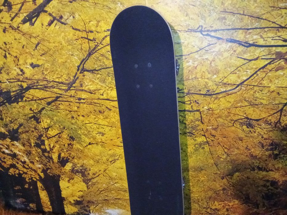 Лагери, гуми и хардуер за скейтборд скейт