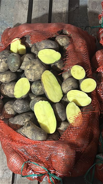 Картофель Галла.