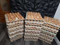 Домашни яйца 12 лева един картон