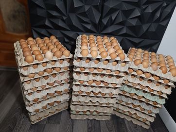 Домашни яйца 12 лева един картон